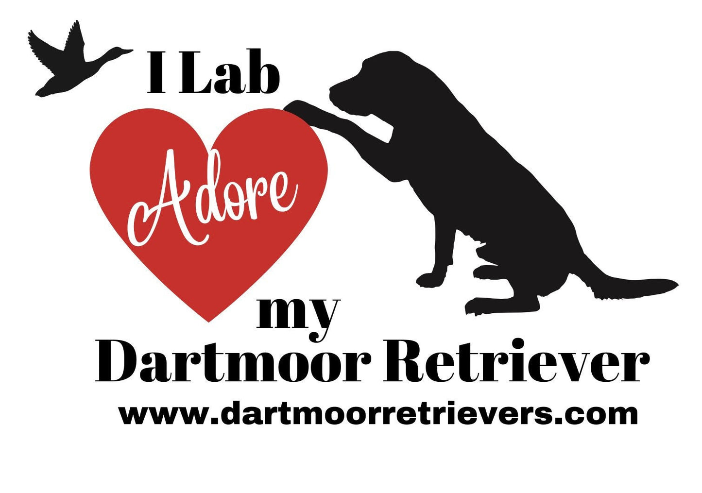 Dartmoor Retrievers bumper stickers