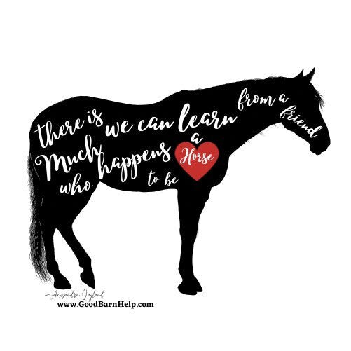 There is much we can learn from a friend who happens to be a horse sticker