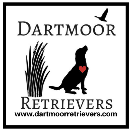 Dartmoor Retrievers bumper stickers